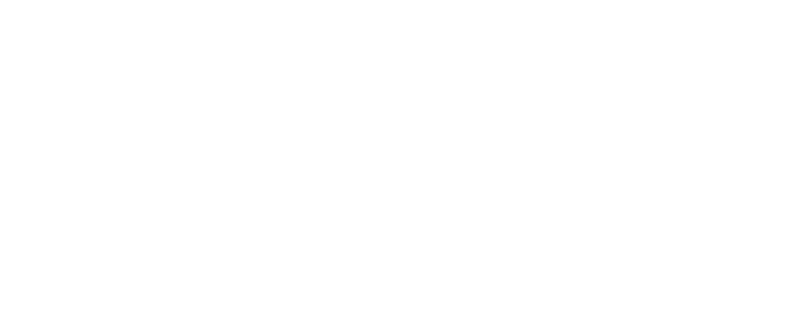 Birchwood_Lexus_Logo_White