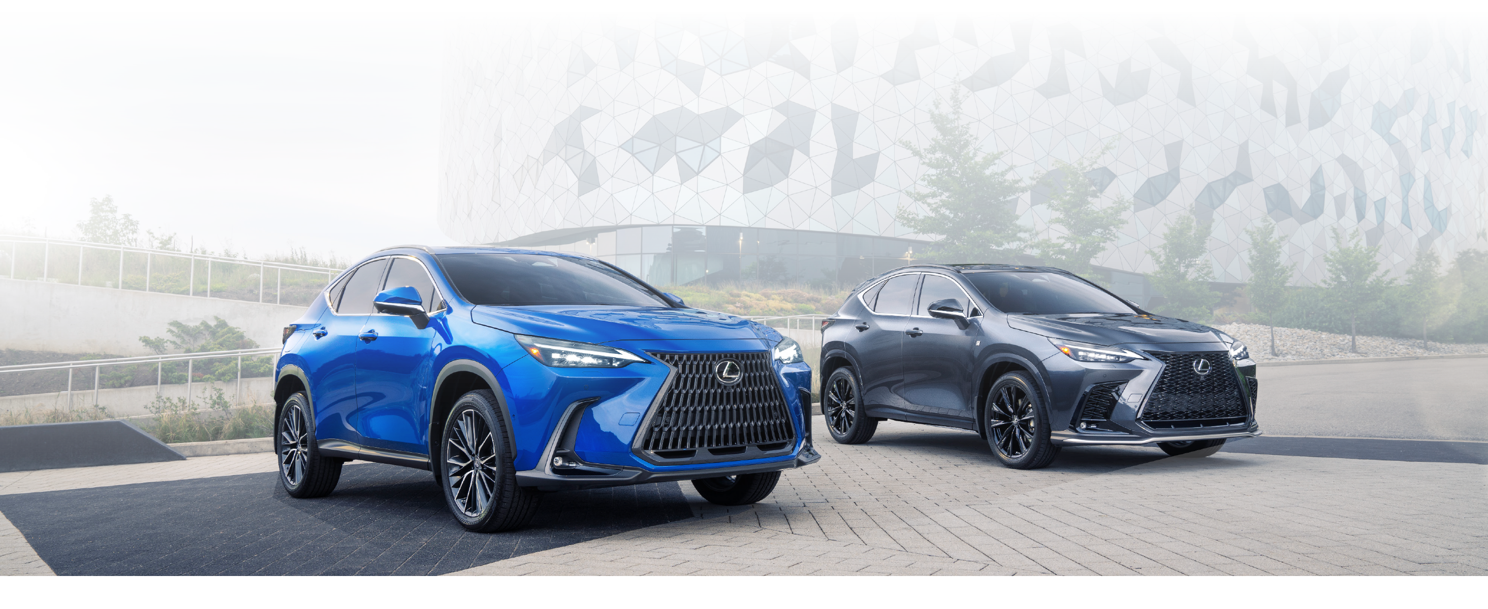Birchwood Lexus Monthly Offers 2022 NX