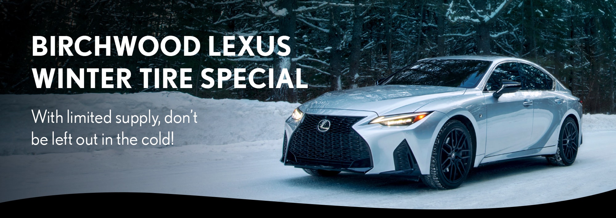 Birchwood Lexus November Service Special Winter TIres