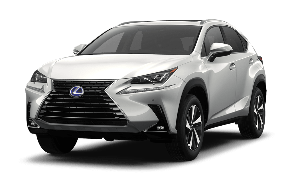 2021 NXh300 at Birchwood Lexus