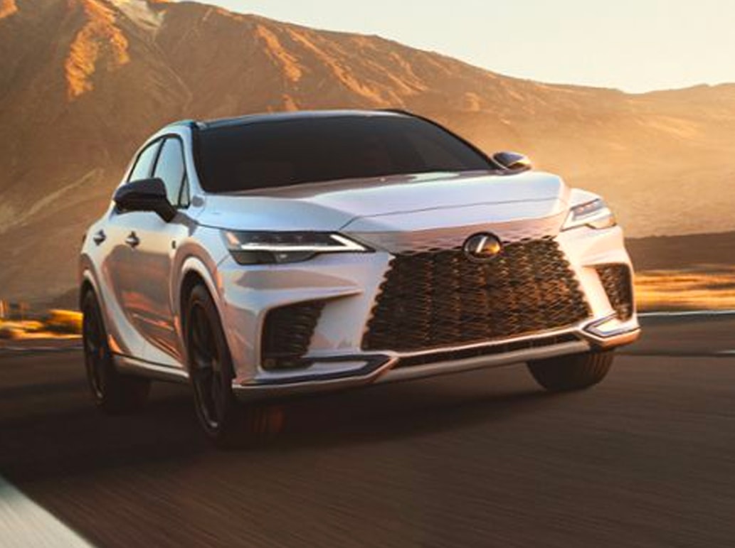 2024 RX Birchwood Lexus