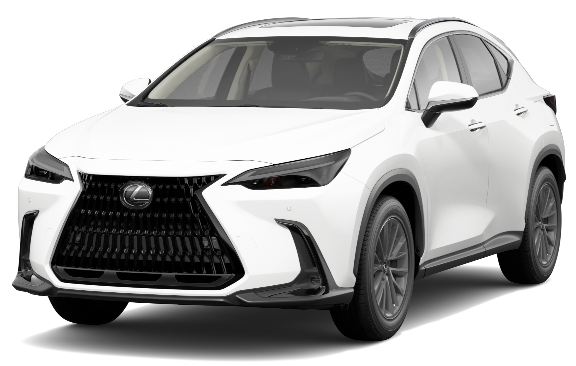 2024 NX 350 AWD Premium