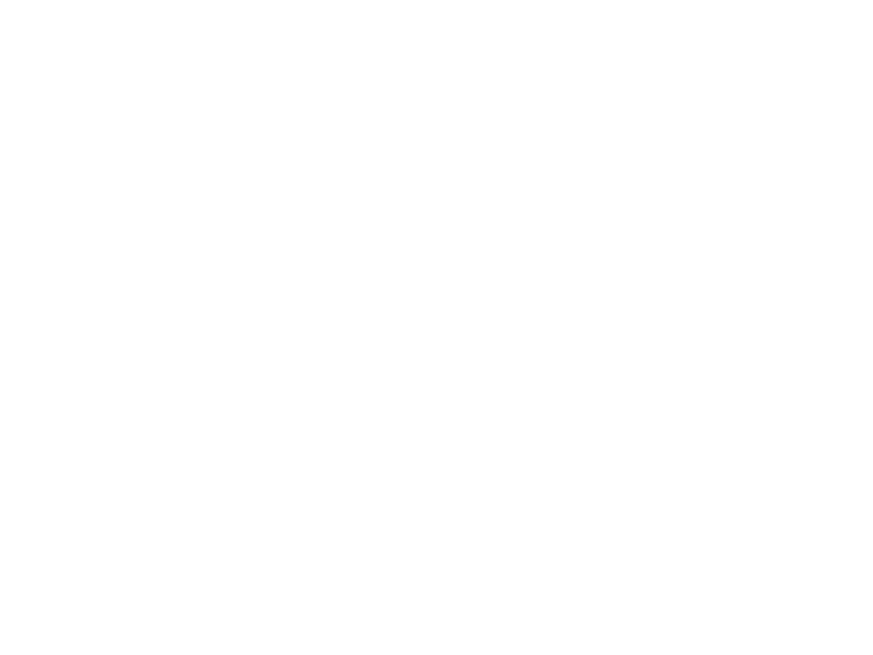 Lexus 5 Day Event