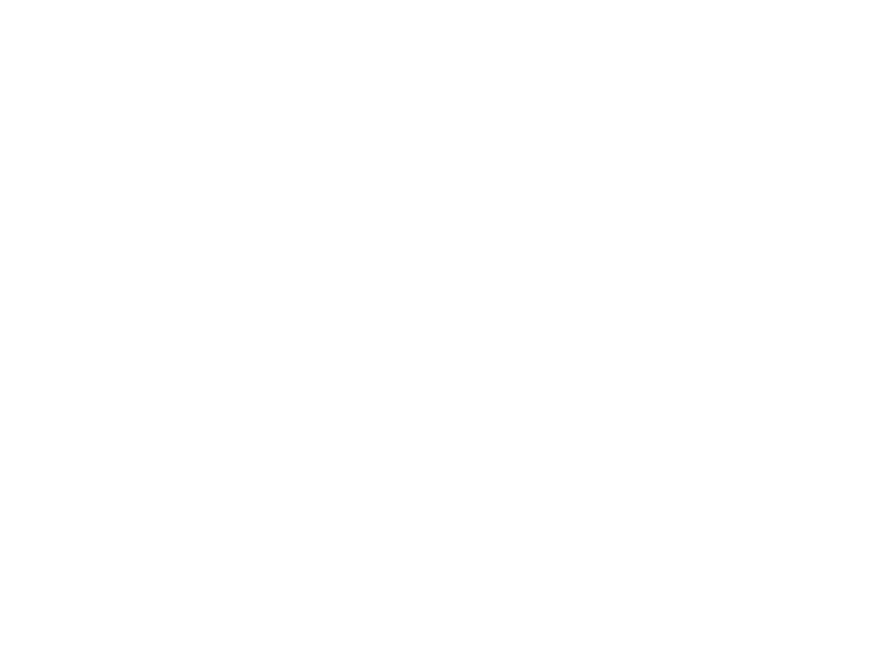 Lexus 5 Day Event